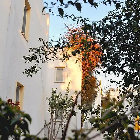 Princess Diltua 3* Bodrum