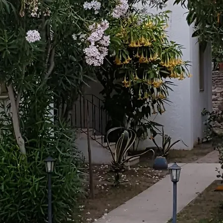 Princess Diltua ホテル