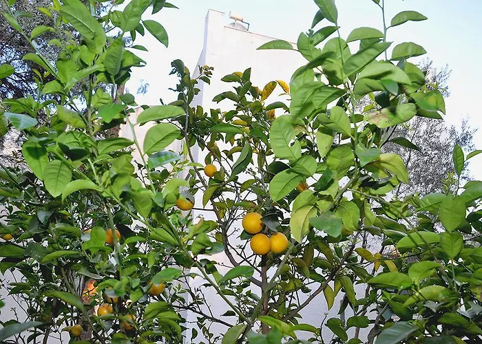 Princess Diltua Hotel