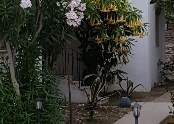 Princess Diltua Отель