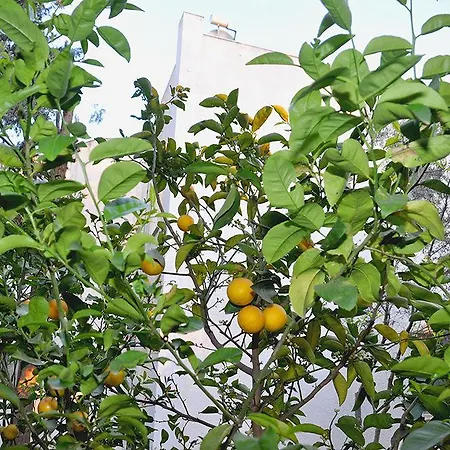 Princess Diltua Hotel